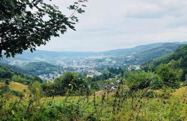 Wohnung am Waldrand am Tanneneck - Foto 29