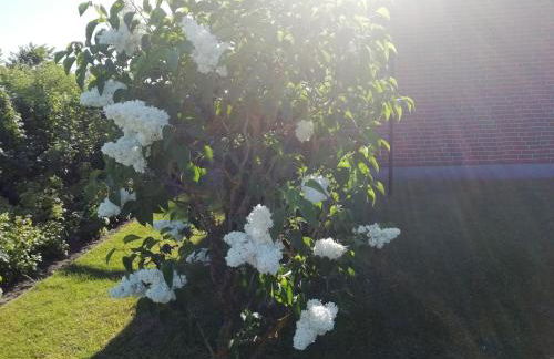 Häuschen im Grünen - Foto 25