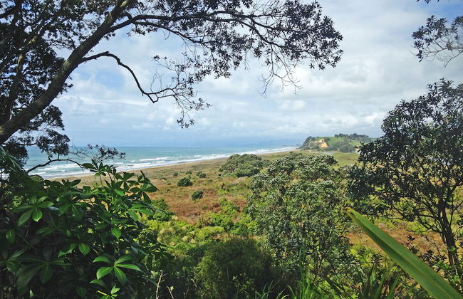 Ohiwa Seascape Studios - Foto 19