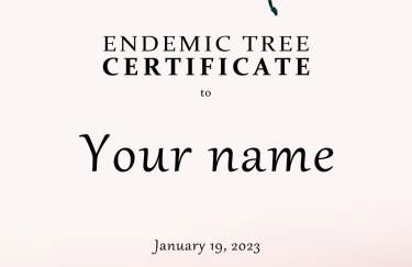 O Refúgio - Espaço natural, amplo e privado - Photo 48