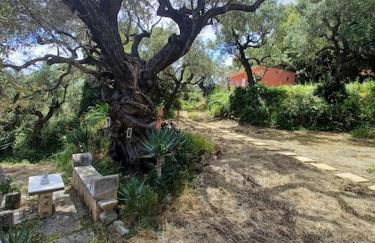 el paradiso - Foto 13