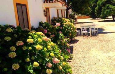 Casas Herdade do Convento da Serra - Foto 36