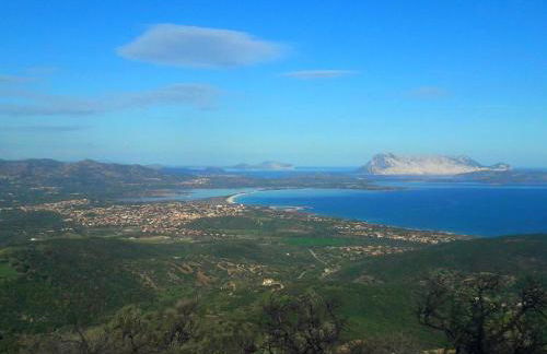 Appartamento Ottiolu Mare - Foto 8