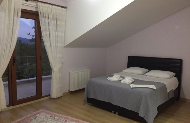 Sapanca mavi yeşil köy evi - Foto 2