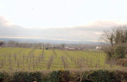 Knockalla luxury property with hot tub suitable for families - Foto 69