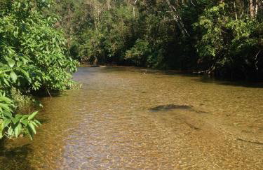 Beach house surrounded by lush nature - Foto 15