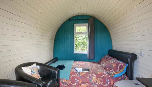 The Owl Pod - Uk50070 - Photo 3