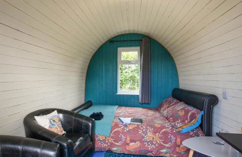 The Owl Pod - Uk50070 - Photo 3