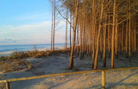 Stilove Wydmy - Foto 18