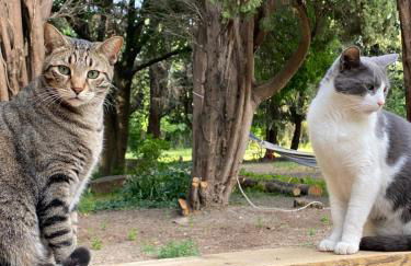 Appartement Les Cyprès de l’Île - Foto 19