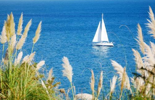 Loc' Maria - Tahiti Beach - Photo 45