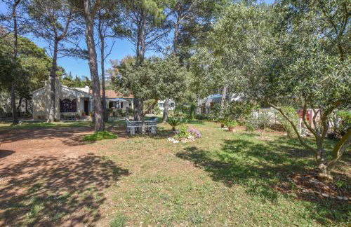 Apartment Ivan - Photo 19