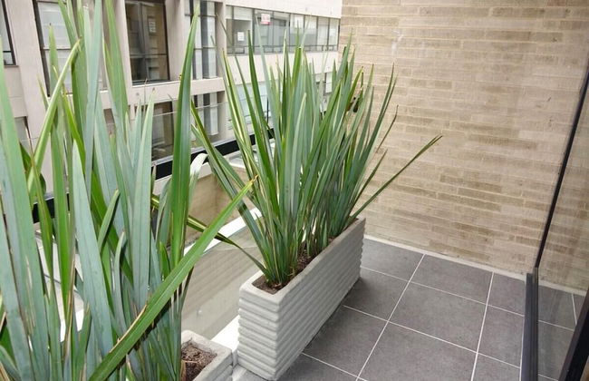 Area 97 Condos by Vesper - Foto 26