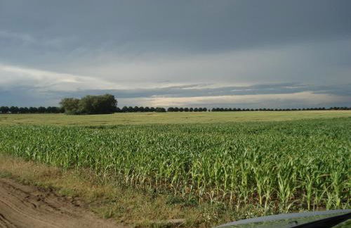 Salzhaff Family Retreat - Foto 29