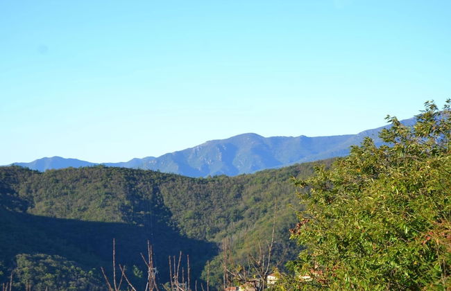 Woodland Escape With Pool - Foto 35