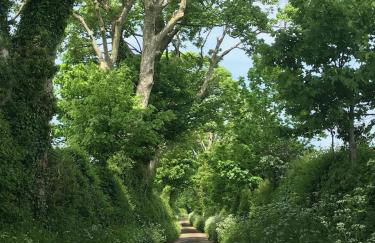 Blueberry Barn, light and airy barn conversion near Bruton - Foto 27