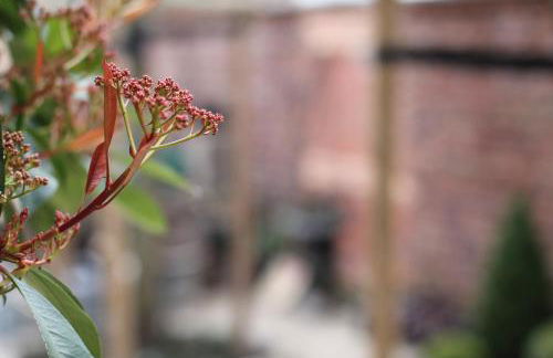 Junior Suite The Backyard TBY 01 - Foto 27