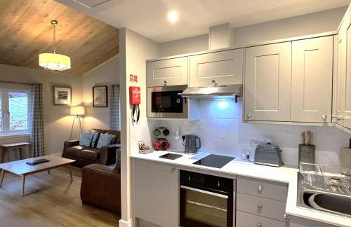 Breckland Lodge 3 with Hot Tub - Foto 32