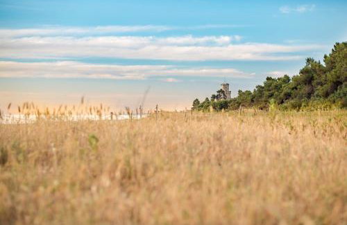 Piazza Verdi SP Roseto Vacanza - Foto 8