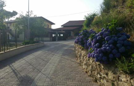 Agriturismo La Pigna - Foto 4