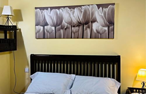 Vut la huertona - Foto 37