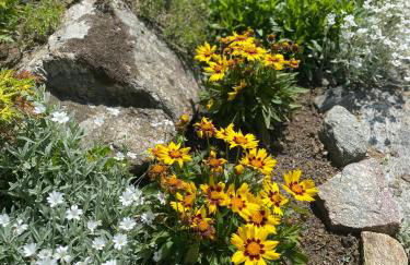 CHALET A CERESOLE REALE nel Parco Gran Paradiso - Foto 29