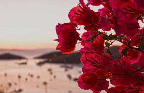 Villa Faros Vourkari Kea with private pool and stunning views - Foto 10