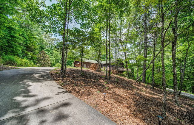 Treetop Oasis Retreat - Foto 25