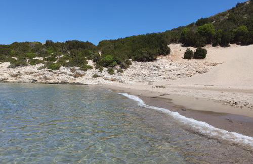 Villa Dunes 350m from the sandy beach - Foto 29