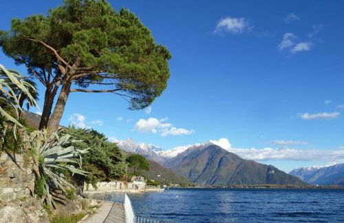 Casa Sonia - Modern Apartment with Pool on Lake Como - Foto 9