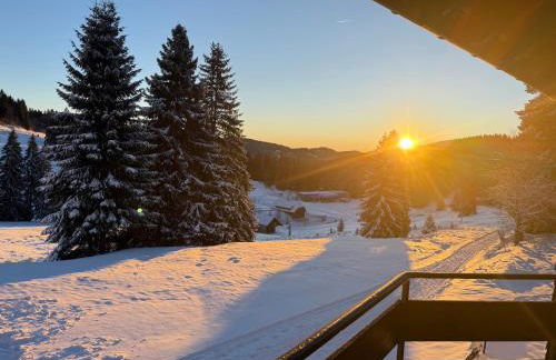 Mitten auf dem Feldberg Panorama Apartment Bergglück - Foto 2