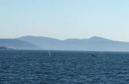 TideAway Farm on Private Island! Escape & Indulge Mother Nature! - Foto 56