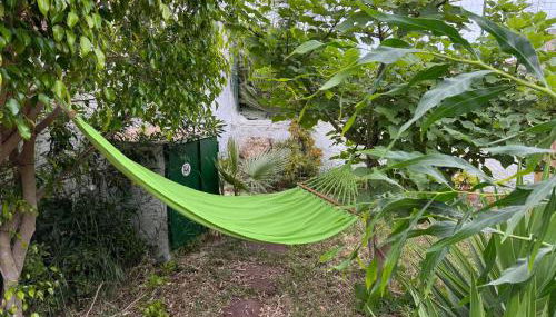 Villa Mia - Foto 2, Garden