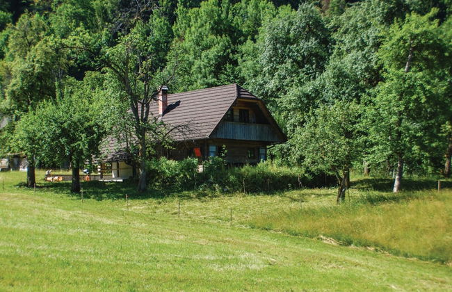 Chalet Kupljenik Near Bled Lake - Foto 37