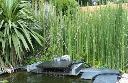Villa standing piscine privée en écrin de verdure - Foto 44