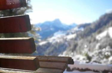 LA VOCE DEL BOSCO Selva di Cadore - Foto 22