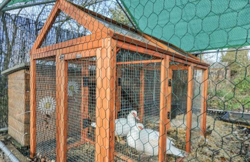 Little Malory - Foto 24