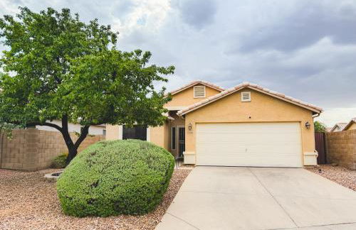 Cactus Bonito - Foto 32