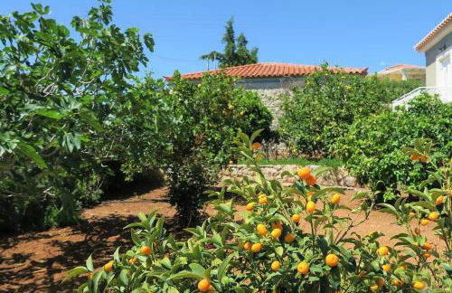 Aeolos beachfront family residence - Foto 60