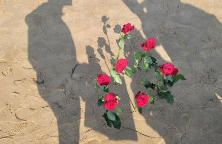 Gîte au cœur du dday - Photo 3