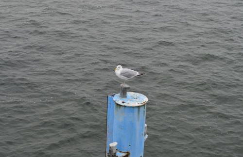 Ferienwohnung MeerZeitPerle - Foto 10