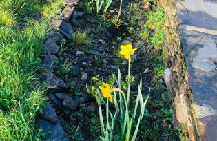 Casa da Forxa, renovated former forge/ smithy - Foto 21