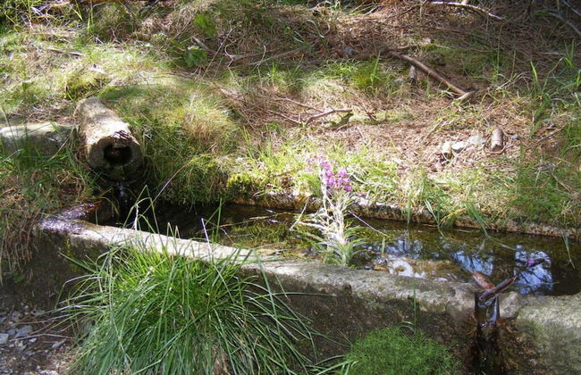 Holiday Home our Little Hunting Lodge - Photo 16