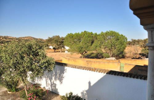 La Matilla - Foto 15