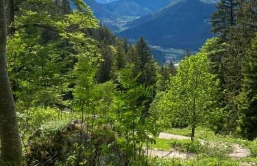 Belisima Apartments I Ferienwohnungen Fischbachau - Breitenstein I Region Schliersee I Historisch & Cozy mit Bergblick I 2 Schlafzimmer I Waschmaschine I Parkplatz I Nähe Supermarkt - Foto 46