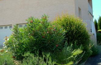 Gîte L'Orée du Lac - Foto 12