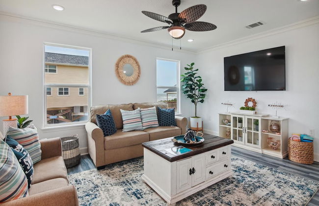 Birds of Paradise - Foto 6