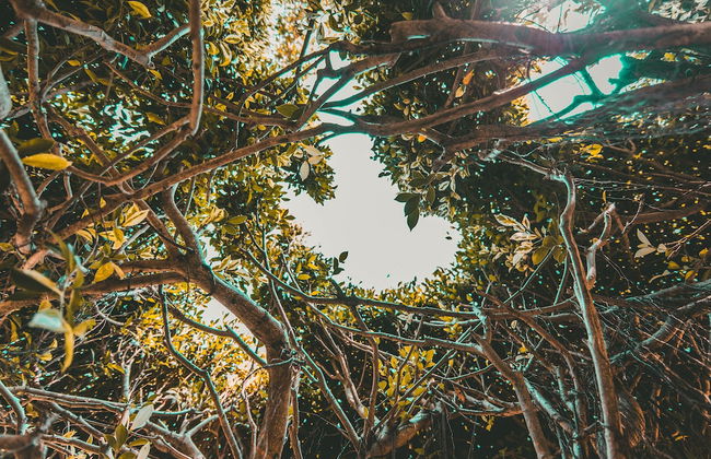 Villa Shade - Photo 75