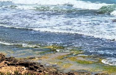 Cabo Cervera primera linea apartamento de lujo - Foto 42