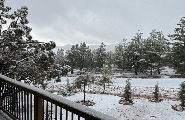 Sundial Circle Pine - Photo 35